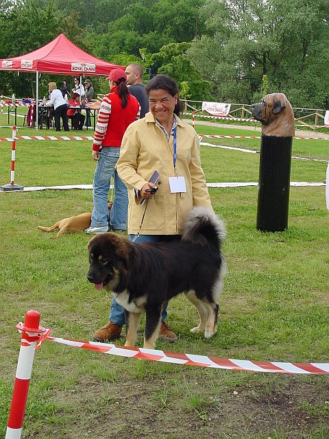 Immagine 052.jpg